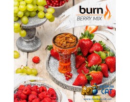 Табак Burn Berry Mix (Ягодный Микс) 100г Акцизный Табак Burn Berry Mix (Ягодный Микс) 100г Акцизный