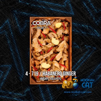 Табак для кальяна Cobra Select Habanero Ginger (Кобра Имбирь Хабанеро Селект) 40г Акцизный - фото 1 Табак для кальяна Cobra Select Habanero Ginger (Кобра Имбирь Хабанеро Селект) 40г Акцизный - фото 1