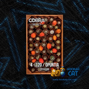 Табак для кальяна Cobra Select Opuntia (Кобра Опунция Селект) 40г Акцизный - фото 1 Табак для кальяна Cobra Select Opuntia (Кобра Опунция Селект) 40г Акцизный - фото 1