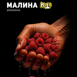 Табак DarkSide Sabotage Малина 30г