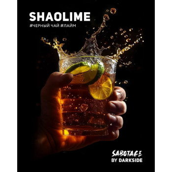 Табак для кальяна Dark Side Sabotage Shaolime (Дарк Сайд Саботаж Шаолайм) 30г Акцизный - фото 1 Табак для кальяна Dark Side Sabotage Shaolime (Дарк Сайд Саботаж Шаолайм) 30г Акцизный - фото 1