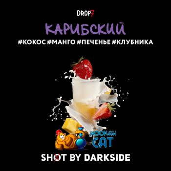 Табак для кальяна Dark Side Shot Карибский (Дарк Сайд Шот) 30г Акцизный - фото 1