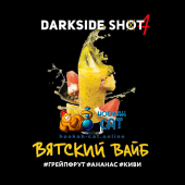 Табак Dark Side Shot Вятский Вайб 30г Акцизный