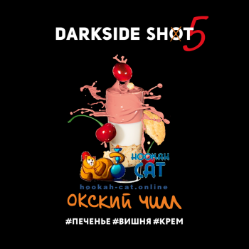 Табак для кальяна Dark Side Shot Окский Чилл (Дарк Сайд Шот) 30г Акцизный - фото 1