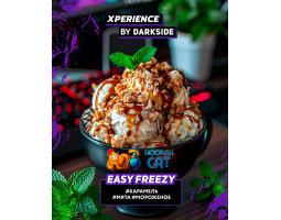 Табак Dark Side Xperience Easy Freezy 120г Табак Dark Side Xperience Easy Freezy 120г