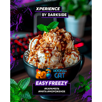 Табак для кальяна Dark Side Xperience Easy Freezy (Дарк Сайд Экспириенс) 120г Акцизный - фото 1 Табак для кальяна Dark Side Xperience Easy Freezy (Дарк Сайд Экспириенс) 120г Акцизный - фото 1