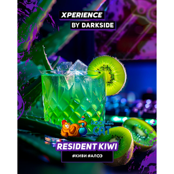 Табак для кальяна Dark Side Xperience Resident Kiwi (Дарк Сайд Экспириенс) 120г Акцизный - фото 1 Табак для кальяна Dark Side Xperience Resident Kiwi (Дарк Сайд Экспириенс) 120г Акцизный - фото 1