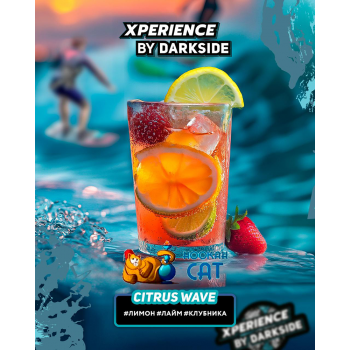 Табак для кальяна Dark Side Xperience Citrus Wave (Дарк Сайд Экспириенс Цитрус Вейв) 30г - фото 1 Табак для кальяна Dark Side Xperience Citrus Wave (Дарк Сайд Экспириенс Цитрус Вейв) 30г - фото 1