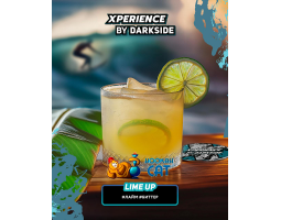 Табак Dark Side Xperience Lime Up (Лайм Ап) 30г Табак Dark Side Xperience Lime Up (Лайм Ап) 30г