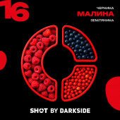 Табак DarkSide Shot 16 Малина Черника Земляника (Карельский Панч) 25г
