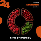 Табак DarkSide Shot 24 Малина Клюква Базилик (Северный Трип) 25г