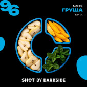 Табак DarkSide Shot 96 Груша Манго Мята (Южный Вайб) 25г