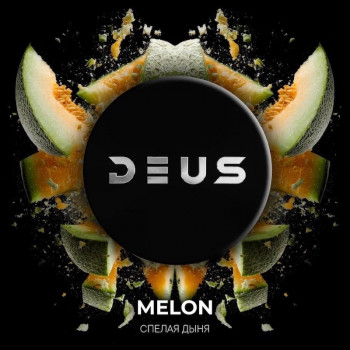 Табак для кальяна Deus Melon (Деус / Дэус Спелая Дыня) 100г - фото 1