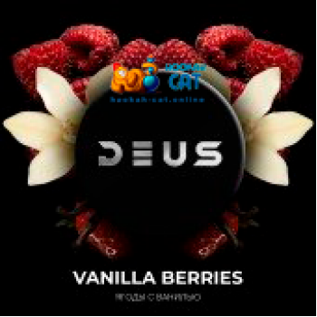 Табак для кальяна Deus Vanilla Berries (Деус / Дэус Ягоды с Ванилью) 100г - фото 1
