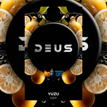 Табак для кальяна Deus Yuzu (Деус / Дэус Юдзу) 100г - фото 1