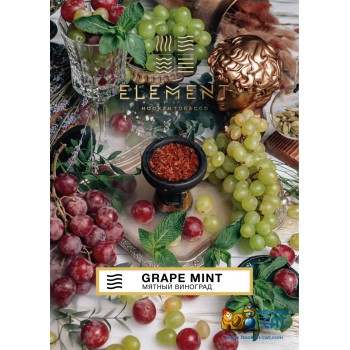 Табак для кальяна Element Air Grape Mint (Элемент Воздух Виноград Мята) 200г - фото 1