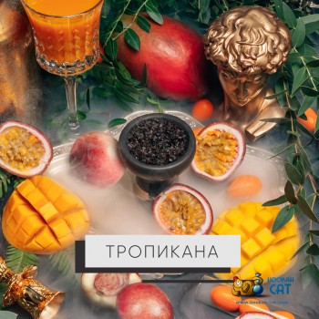 Табак для кальяна Element Water Tropicana (Элемент Вода Тропикана) 200г - фото 1