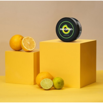 Табак для кальяна Endorphin Lemon Lime (Эндорфин Лимон Лайм) 125г - фото 1