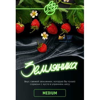 Табак для кальяна Inferno Medium Земляника (Инферно Медиум) Акцизный 50г - фото 1 Табак для кальяна Inferno Medium Земляника (Инферно Медиум) Акцизный 50г - фото 1
