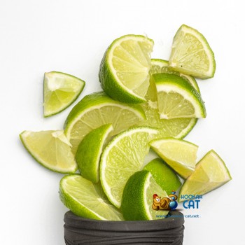 Табак для кальяна Jibiar Exotic Lime (Джибиар Экзотический Лайм) Акцизный 50г - фото 1 Табак для кальяна Jibiar Exotic Lime (Джибиар Экзотический Лайм) Акцизный 50г - фото 1