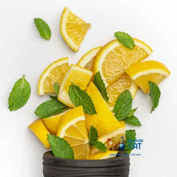 Табак для кальяна Jibiar Lemon Mint (Джибиар Лимон Мята) Акцизный 50г - фото 1
