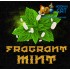 Табак для кальяна Krass M-Line Fragrant Mint (Красс Ароматная Мята) 100г Акцизный фото - 2