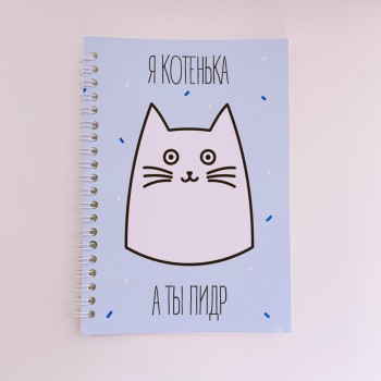 Блокнот КОТКА - Я Котенька, А Ты Пидр Голубой - купить в Москве с доставкой по России - фото 1