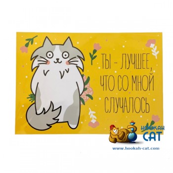 Открытка КОТКА - Ты Лучшее Что Со Мной Случалось - купить в Москве с доставкой по России - фото 1
