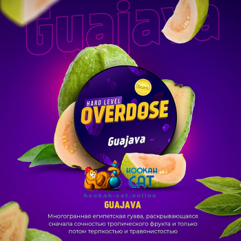 Заказать кальянный табак Overdose Guajava (Овердос Гуава) 100г онлайн с доставкой всей России - фото 1