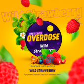 Табак Overdose Wild Strawberry (Земляника) 25г Акцизный Табак Overdose Wild Strawberry (Земляника) 25г Акцизный
