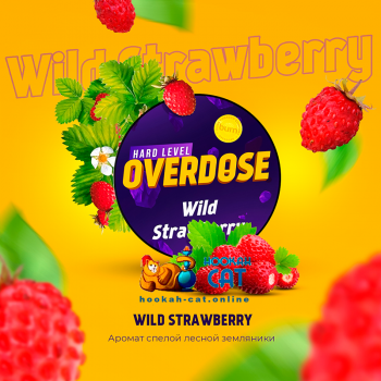 Заказать кальянный табак Overdose Wild Strawberry (Овердос Земляника) 200г онлайн с доставкой всей России - фото 1 Заказать кальянный табак Overdose Wild Strawberry (Овердос Земляника) 200г онлайн с доставкой всей России - фото 1