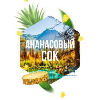 Табак для кальяна Сарма Ананасовый Сок 120г Акцизный - фото 1 Табак для кальяна Сарма Ананасовый Сок 120г Акцизный - фото 1