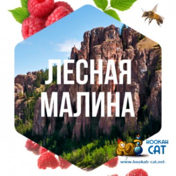 Табак для кальяна Сарма Лесная Малина 120г Акцизный - фото 1 Табак для кальяна Сарма Лесная Малина 120г Акцизный - фото 1