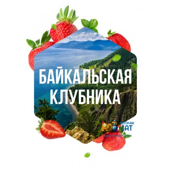 Табак для кальяна Сарма Байкальская Клубника 25г Акцизный - фото 1