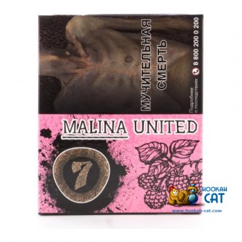 Табак для кальяна Seven Malina United (Семь Малина) 40г Акцизный - фото 1 Табак для кальяна Seven Malina United (Семь Малина) 40г Акцизный - фото 1