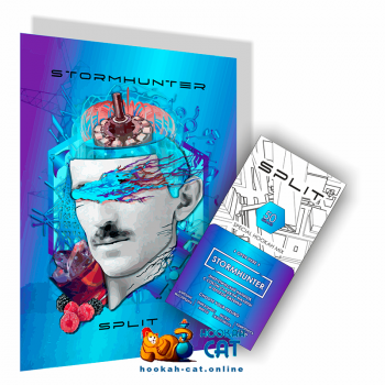 Бестабачная смесь для кальяна Split Stormhunter (Сплит Штормхантер) 50г  - фото 1