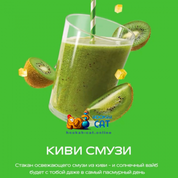 Заказать кальянный табак Starline (Старлайн) Киви 25г онлайн с доставкой всей России - фото 1
