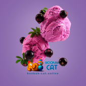 Табак Starline Смородиновый Сорбет (Currant Sorbet) 25г