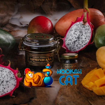 Заказать кальянный табак WTO Dominicana Pitahaya Mango (ВТО Доминикана Питахайя Манго) 20г онлайн с доставкой всей России - фото 1
