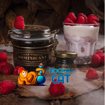 Заказать кальянный табак WTO Dominicana Raspberry Yogurt (ВТО Доминикана Малиновый Йогурт) 20г онлайн с доставкой всей России - фото 1