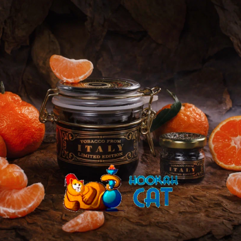 Заказать кальянный табак WTO Italy Tangerine (ВТО Италия Мандарин) 20г онлайн с доставкой всей России - фото 1