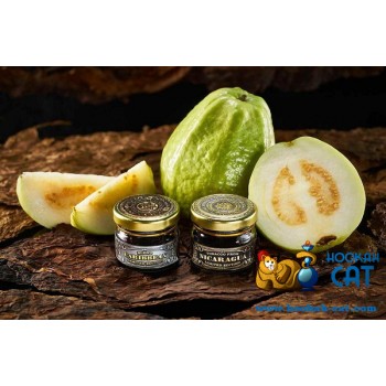Заказать кальянный табак WTO Nicaragua Guava (ВТО Никарагуа Гуава) 20г онлайн с доставкой всей России - фото 1