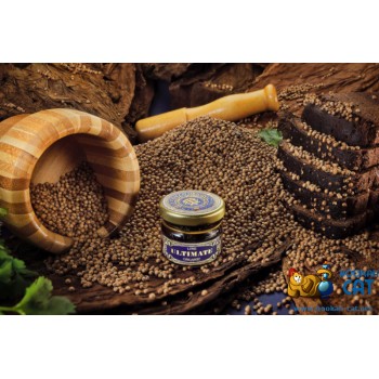Заказать кальянный табак WTO Ultimate Organic Nicaragua Black Pepper (ВТО Черный Перец) 20г онлайн с доставкой всей России - фото 1 Заказать кальянный табак WTO Ultimate Organic Nicaragua Black Pepper (ВТО Черный Перец) 20г онлайн с доставкой всей России - фото 1