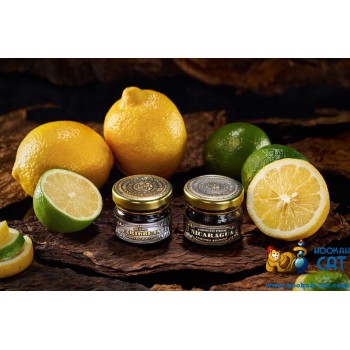 Заказать кальянный табак WTO Nicaragua Lemon Lime (ВТО Никарагуа Лимон Лайм) 20г онлайн с доставкой всей России - фото 1
