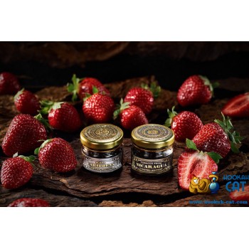 Заказать кальянный табак WTO Caribbean Blend Strawberry (ВТО Карибиан Клубника) 20г онлайн с доставкой всей России - фото 1 Заказать кальянный табак WTO Caribbean Blend Strawberry (ВТО Карибиан Клубника) 20г онлайн с доставкой всей России - фото 1