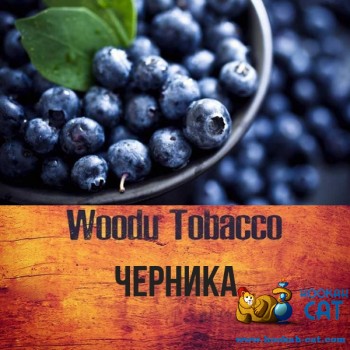 Табак для кальяна Woodu Blueberry (Вуду Голубика) 40г Акцизный - фото 1