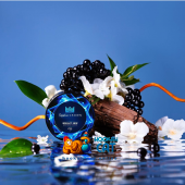 Табак Sapphire Crown Bright Side (Бузина Жасмин) 100г