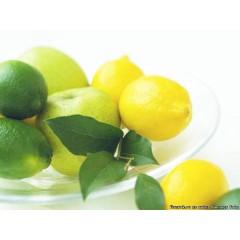 Миксы для кальяна – Лимонное яблоко (Afzal Two Apples, Afzal Lime Lemon) Миксы для кальяна – Лимонное яблоко (Afzal Two Apples, Afzal Lime Lemon)