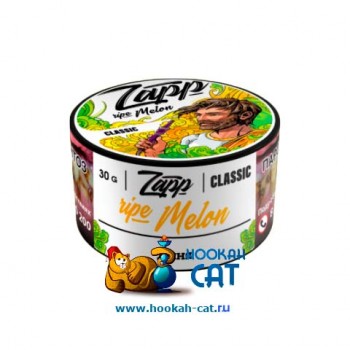 Табак для кальяна Zapp Classic Ripe Melon (Запп Дыня) 30г Акцизный - фото 1