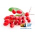 Табак для кальяна Afzal Exotic Berberis (Экзотик Барбарис) 50г фото - 3 Табак для кальяна Afzal Exotic Berberis (Экзотик Барбарис) 50г фото - 3